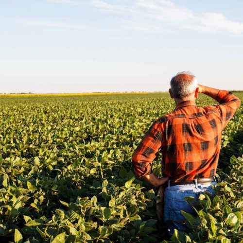 Uluslararası Aile Çiftçiliği Yılı Çalıştayı